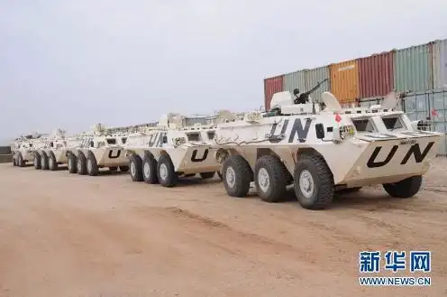 实拍:中国维和部队主力装备一览(组图)