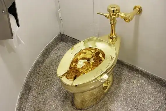 世界最贵纯金马桶耗费250万资金制作18美元就能用一次