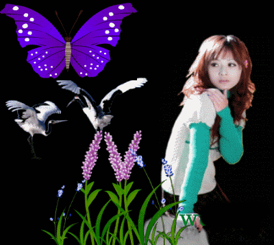 【引用】音画动态素材