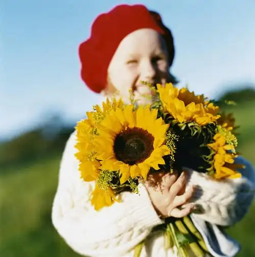 风景,人文,旅游