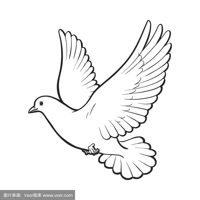 自由飞翔的白鸽,孤立的素描风格插图