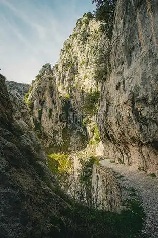 墙绿草图片素材_落基山脉之间的路径,墙壁上长满了绿草
