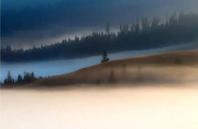 拍出秋天的味道,有雾才有意境