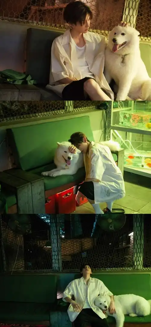 火锅小姐被宠爱的一生以及我们锅妹凭着高冷但又只对王源哥哥一人摇