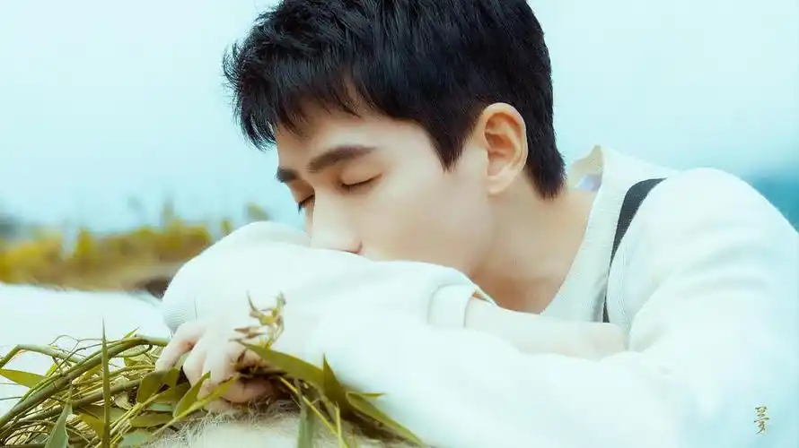 想朱一龙的进来看看图