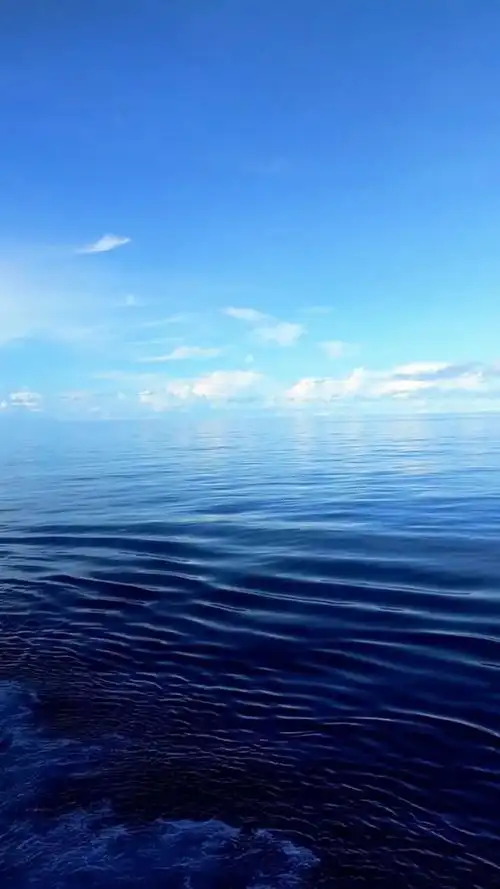 大海对于我来说已经看腻了,但依旧喜欢大洋上像湖面一样平静的大海