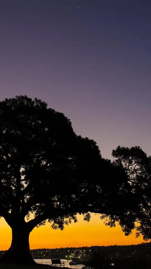 壁纸 树木,日落,晚上,河流,码头 3840x2160 uhd 4k 高清壁纸, 图片