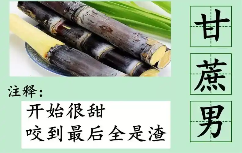 甘蔗男是什么意思