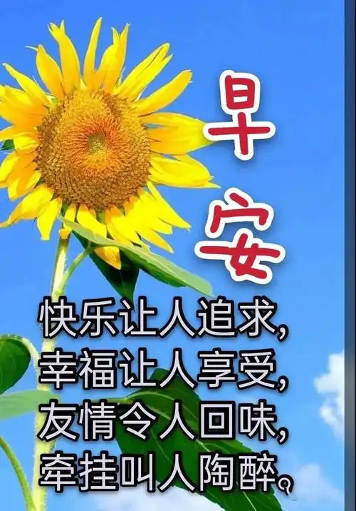 最新夏日暖心的早上好祝福语图片带字 有创意的清晨早安问候祝福语
