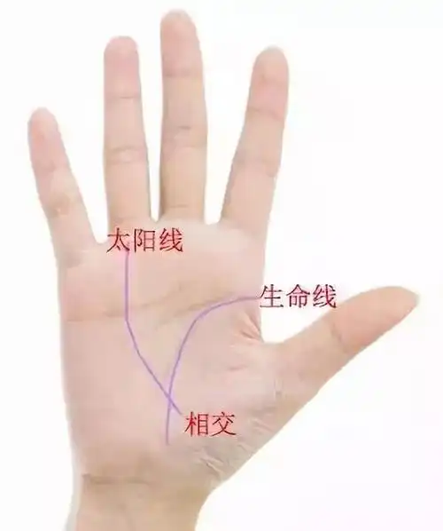 比如只有当太阳线一直由无名指的根部往下延伸与生命线相交或接近的