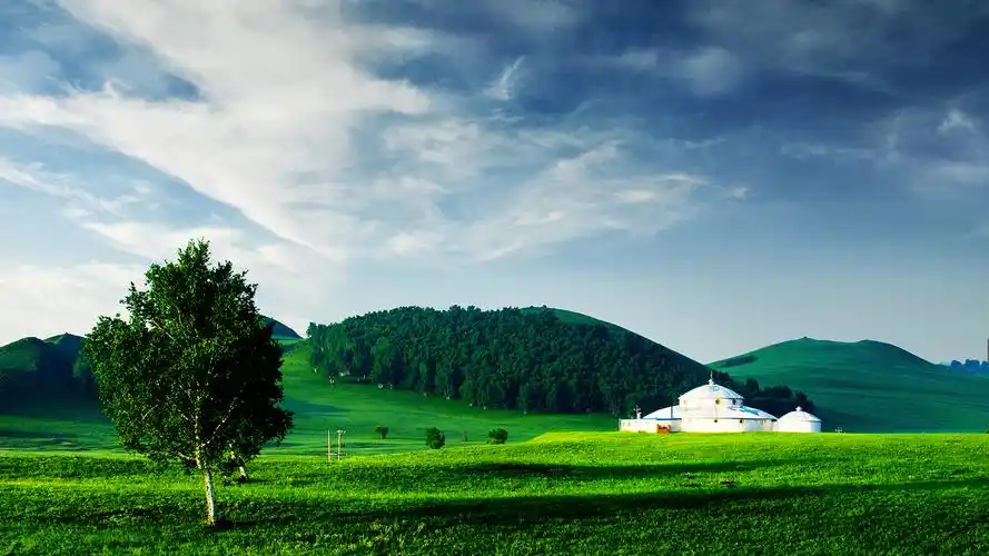 辽阔的草原图片宽屏桌面壁纸