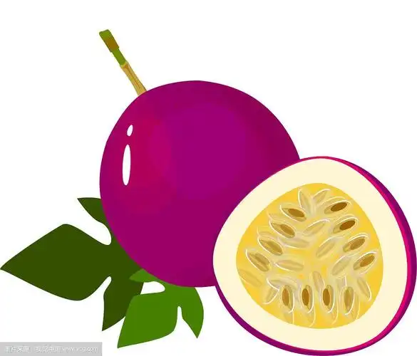 卡通新鲜的百香果上隔离白色的果实