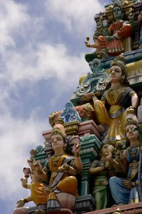 印度:莲花绽放的极乐净土