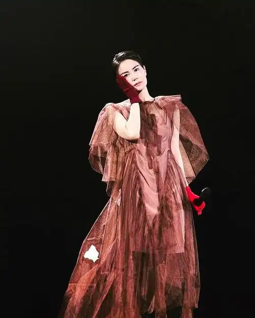 violeta的相册-王菲×幻乐一场