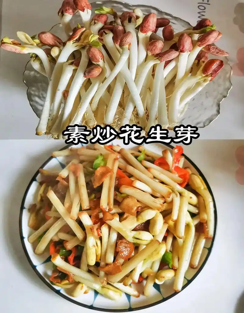 素炒花生芽.家常做法,香甜脆嫩,营养丰富,爽口下饭 ,小孩特 - 抖音