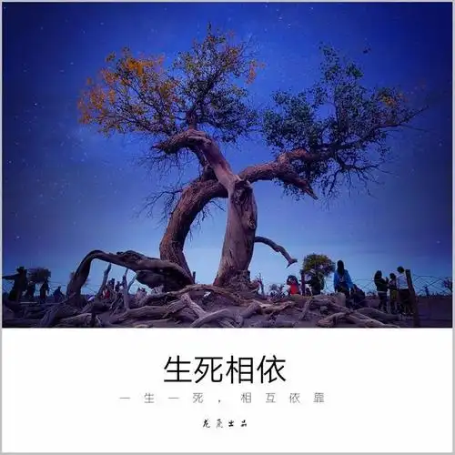 人像主题摄影母爱如山老照片也有好故事看哭