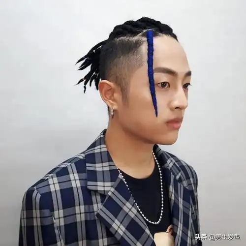 男生辫子发型14款男生脏辫发型