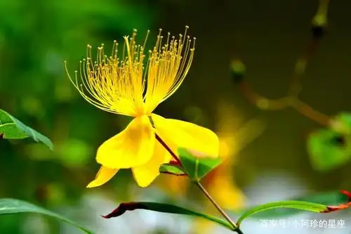 下个月开始,好运缠身,桃花运不断,与真爱四目相对的4大星座