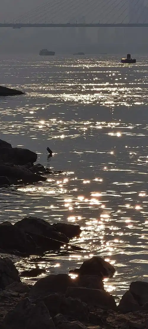 感觉很适合做背景图