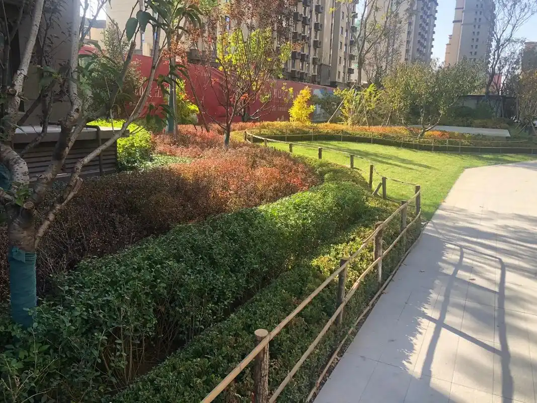 给时长没回来的邻居拍一下,小区最新照片#最美小区景观 #现场 - 抖音