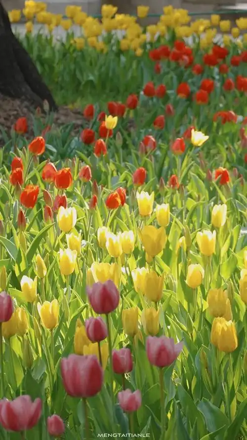 一组很有感觉的壁纸