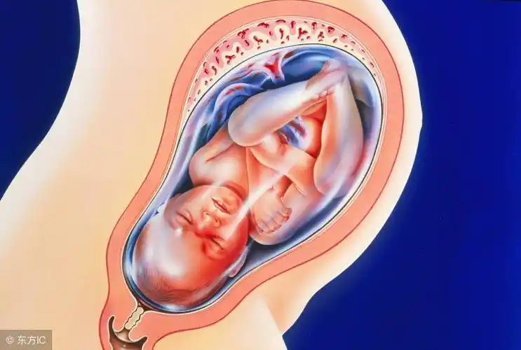 为什么吃胎盘吃自己孩子胎盘的人