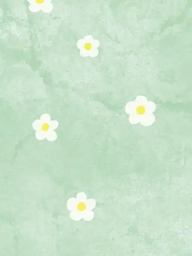 简约纯色系 壁纸聊天背景图