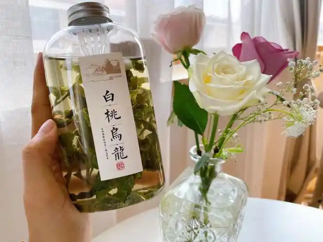 夏季就要喝冷泡白桃乌龙茶香迷糊了