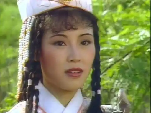 见过不止一次,却没有对杨过有异样的情愫,她就是耶律齐的妹妹耶律燕