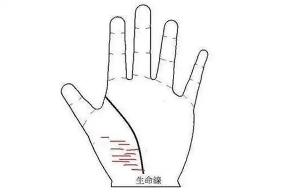 月丘有横纹代表什么