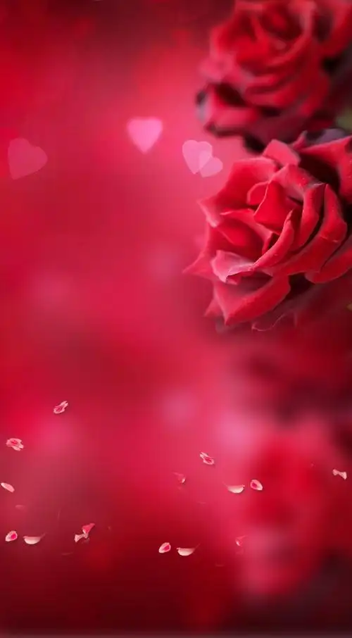 浪漫玫瑰海报背景素材