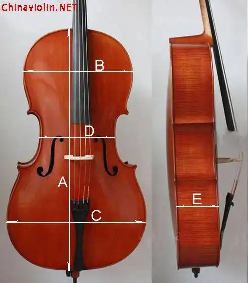 [讨论] 大提琴的外部尺寸