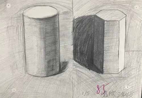 1月5日(周日下午)小学素描班学生作业赏析