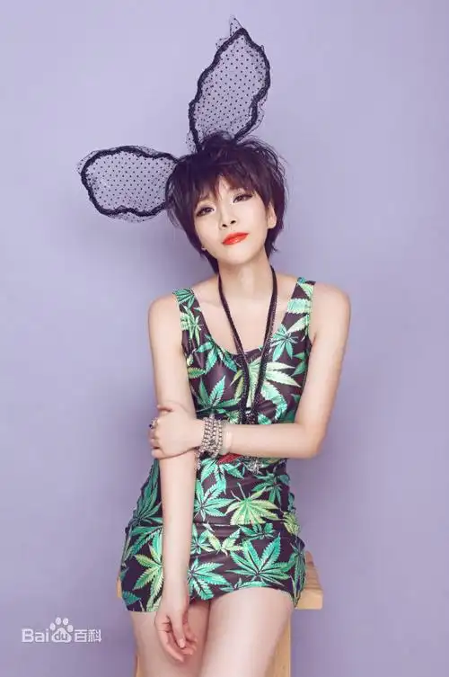 司徒兰芳,中国大陆女歌手,1982年1月15日出生于河北唐山.