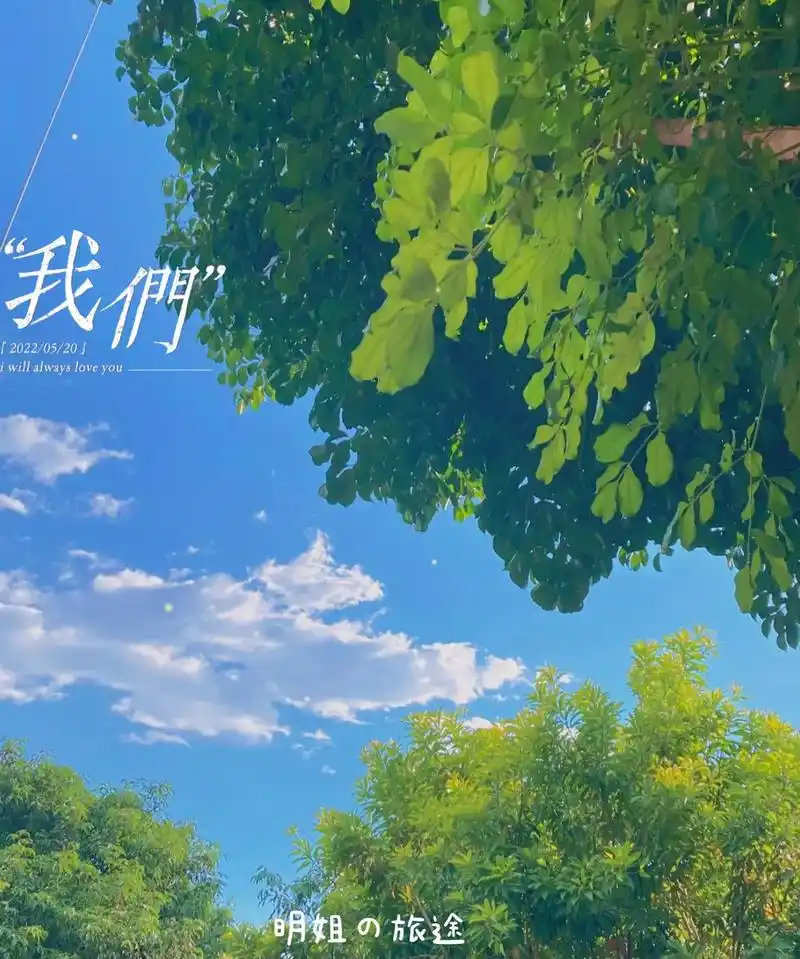 520「愿时光清浅,许你晴天」7715 您正在收听周杰伦《晴天》 - 抖