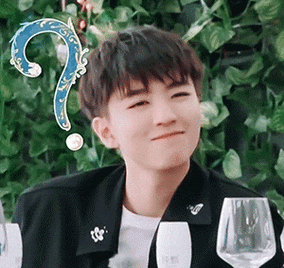 王俊凯问号九连表情包