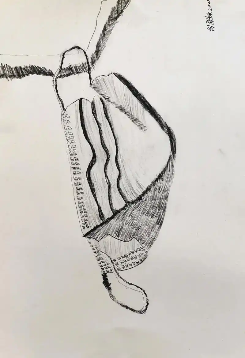 一年级初级素描78