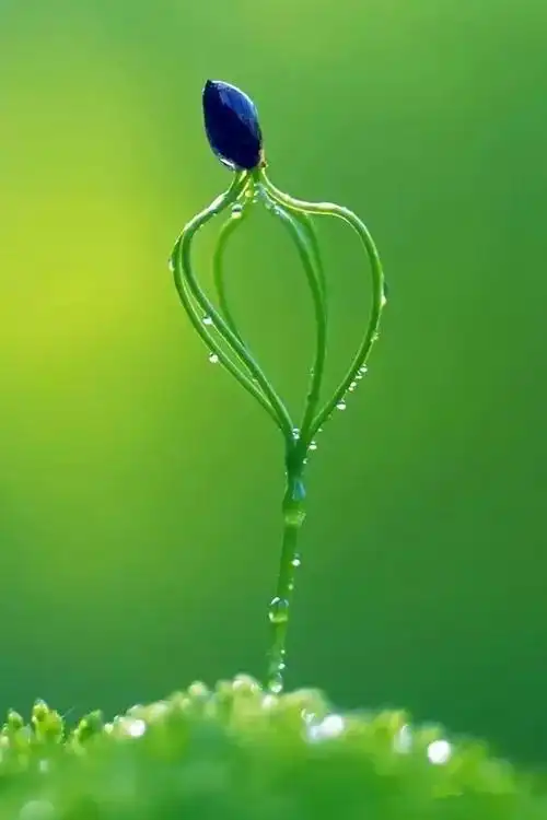 手机屏保(护眼就好)