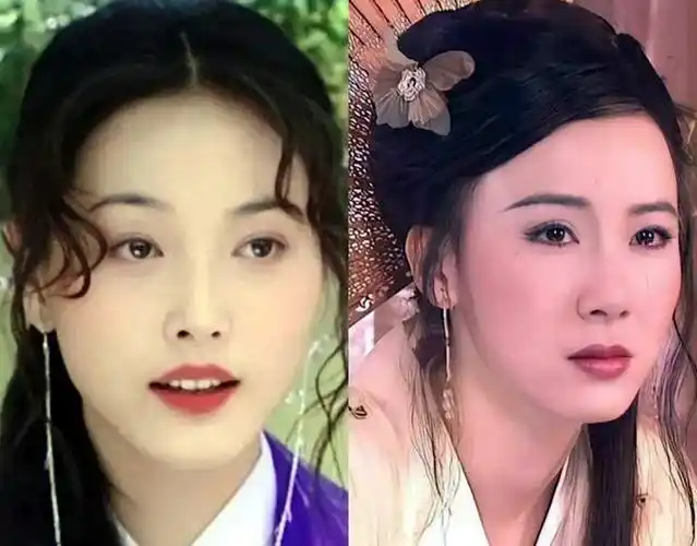 不上第一部,牛莉金巧巧都只能算是小美人,和俞飞鸿贾静雯范冰冰差远了