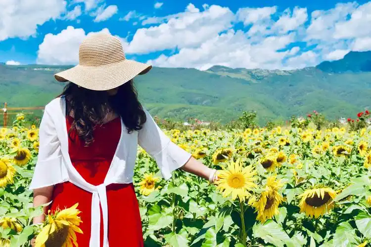 拉市海花花色玫瑰庄园网红最火线路260元