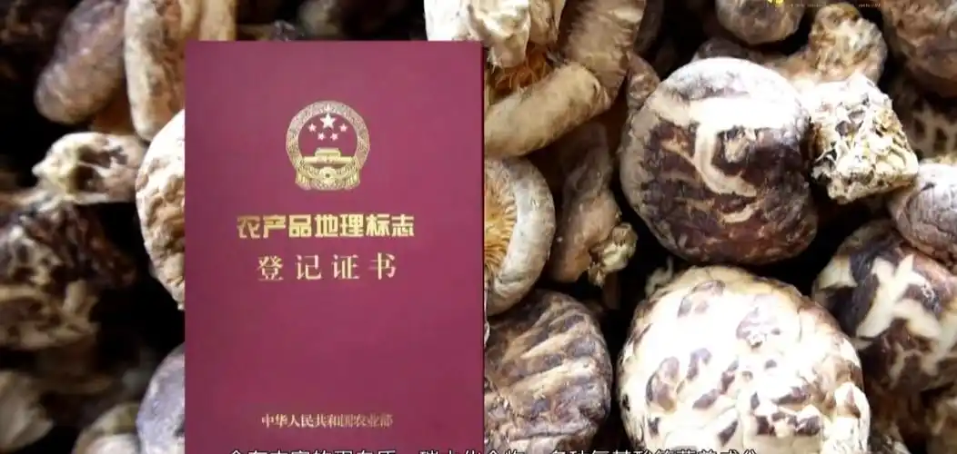 尊享宁陕山珍健康与您同行