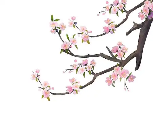 桃花花苞素材-桃花花苞图片-桃花花苞素材图片下载-第7页-觅知网