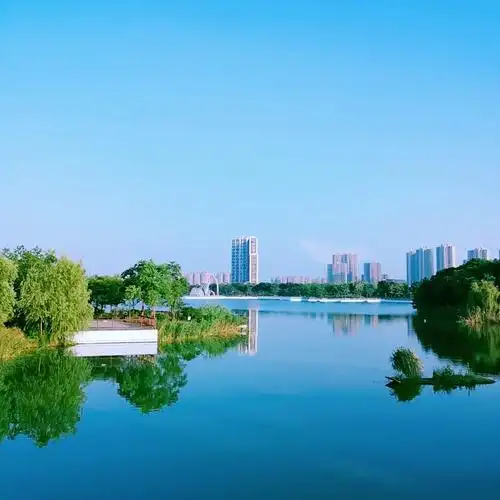 12k 轻松跑今天五点就醒了,时间多就刷刷公园