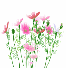 春天种什么花草,今年春天我很彷徨,春天适合种什么蔬菜,春天种水仙