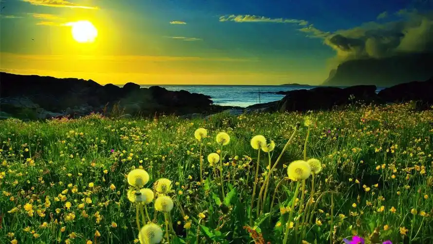 绿色护眼自然风景桌面壁纸