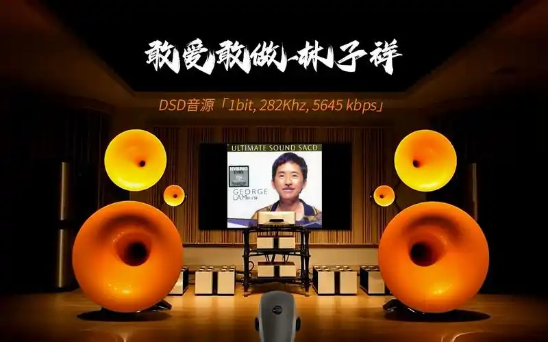 百万级装备试听高解析《敢爱敢做》林子祥[dsd音源]