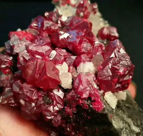 灵丹真朱砂:满门朱紫