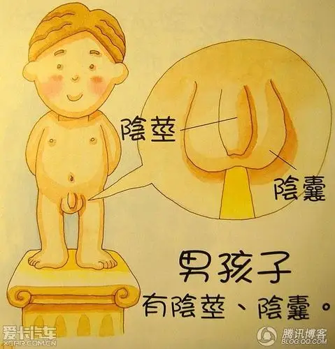 香港幼儿教育漫画第二季——人体博物馆,很可爱的漫画,家有小宝宝的