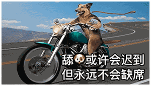 表情舔狗舔到最后一无所有