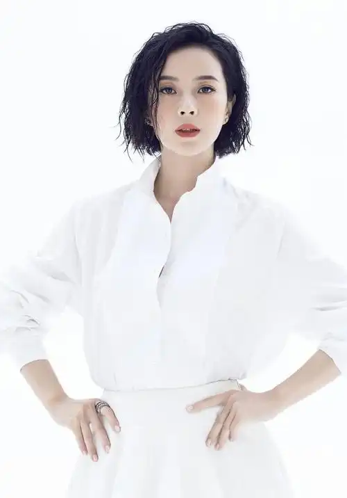 苏岩演过的电视剧有哪些(内地著名女演员苏岩简介)(1)